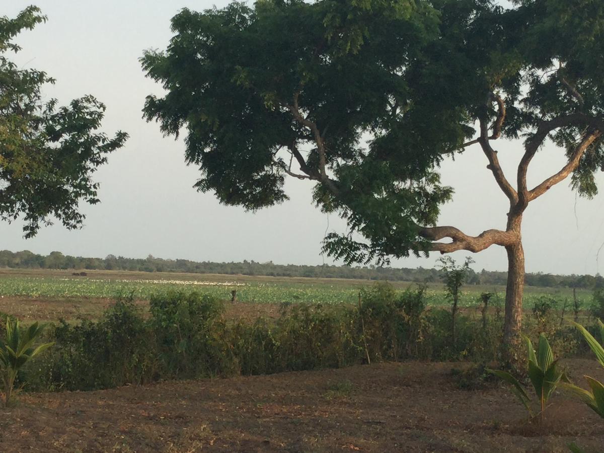 Captain'S Bird Safari Lodge بوتالام المظهر الخارجي الصورة