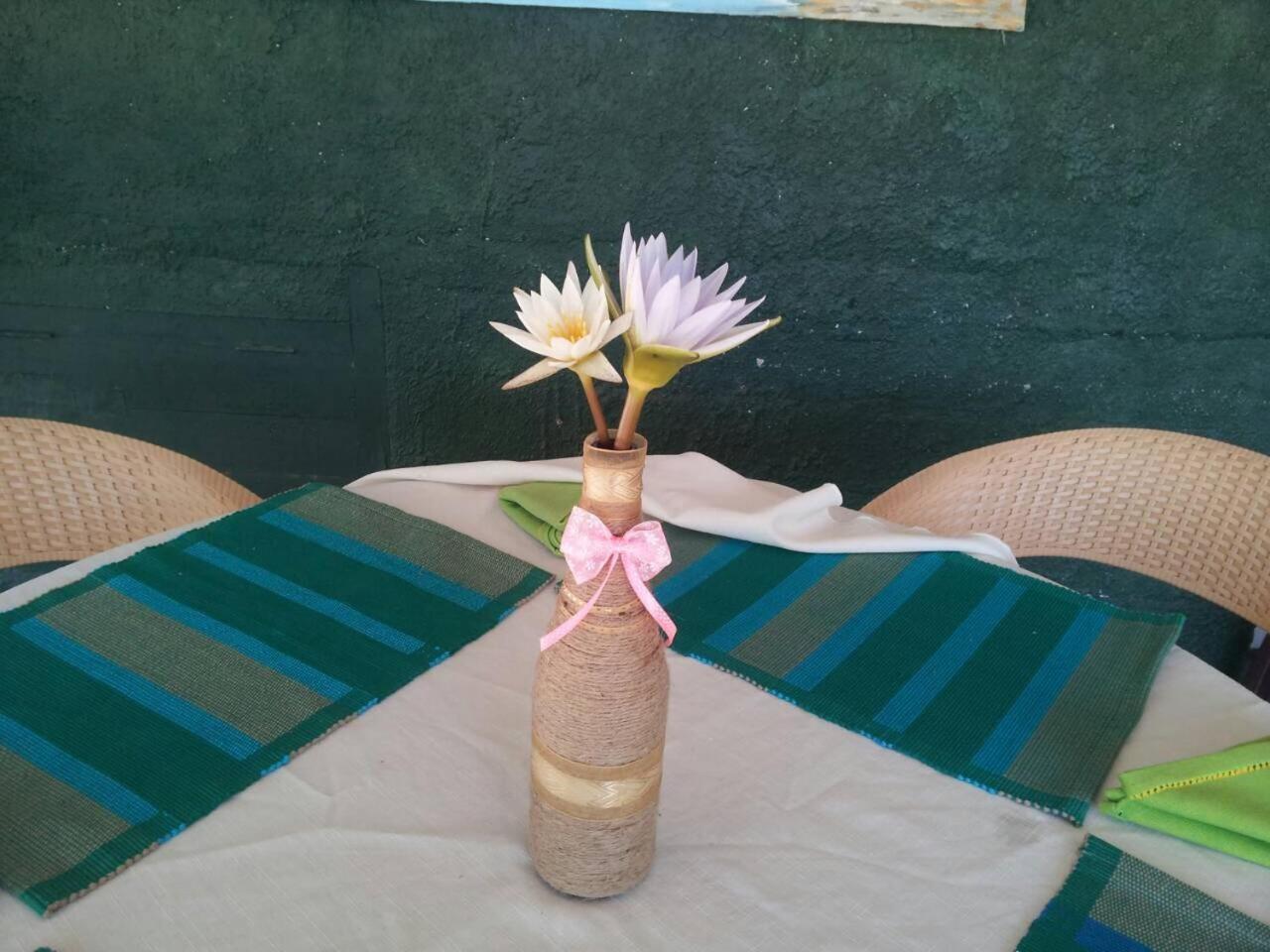 Captain'S Bird Safari Lodge بوتالام المظهر الخارجي الصورة