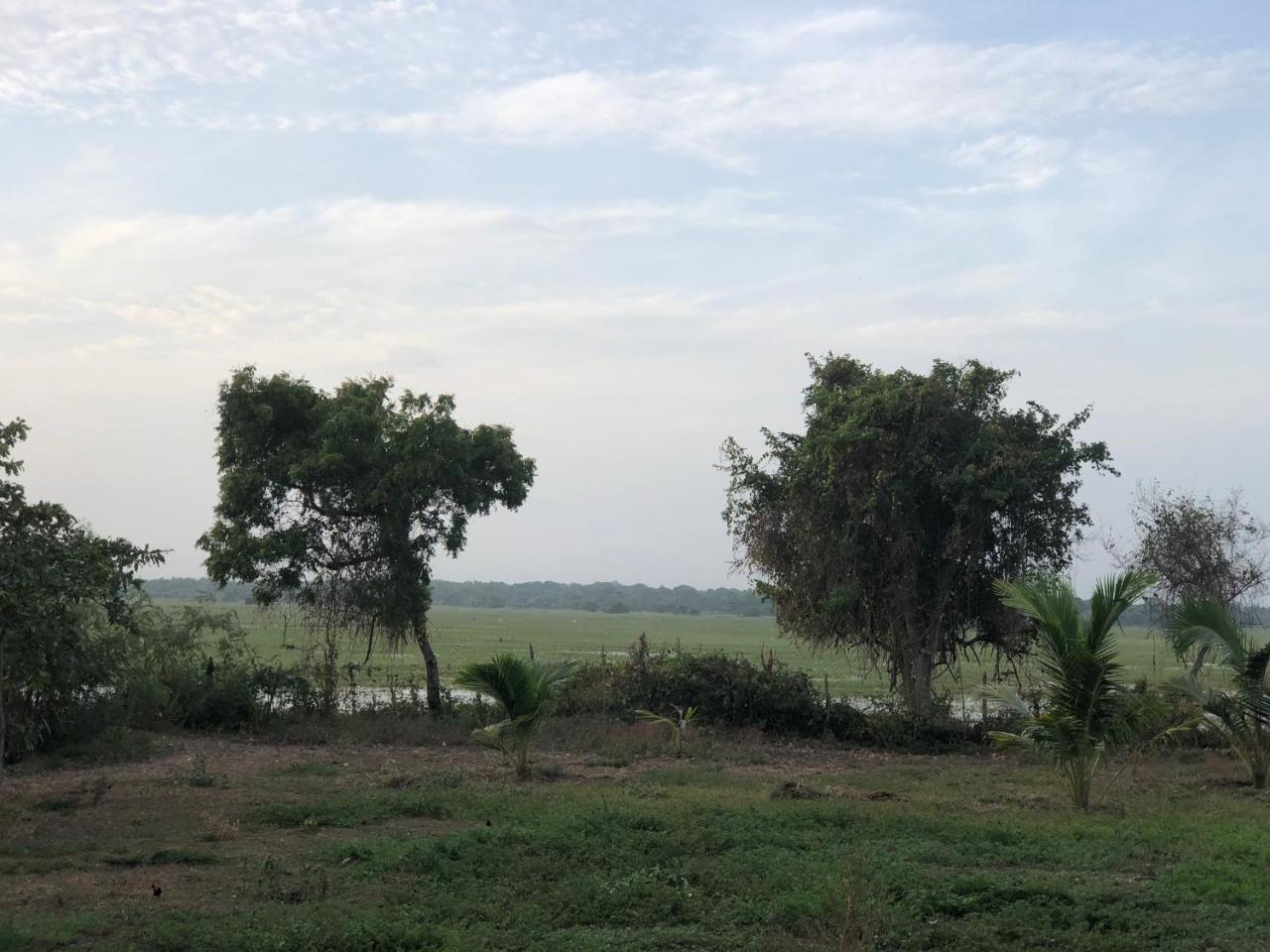 Captain'S Bird Safari Lodge بوتالام المظهر الخارجي الصورة