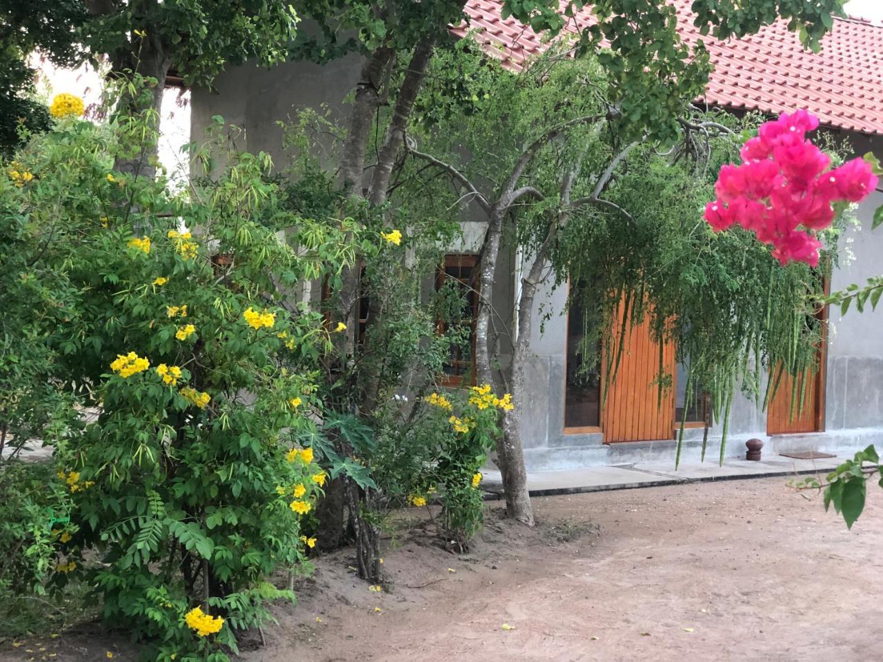 Captain'S Bird Safari Lodge بوتالام المظهر الخارجي الصورة