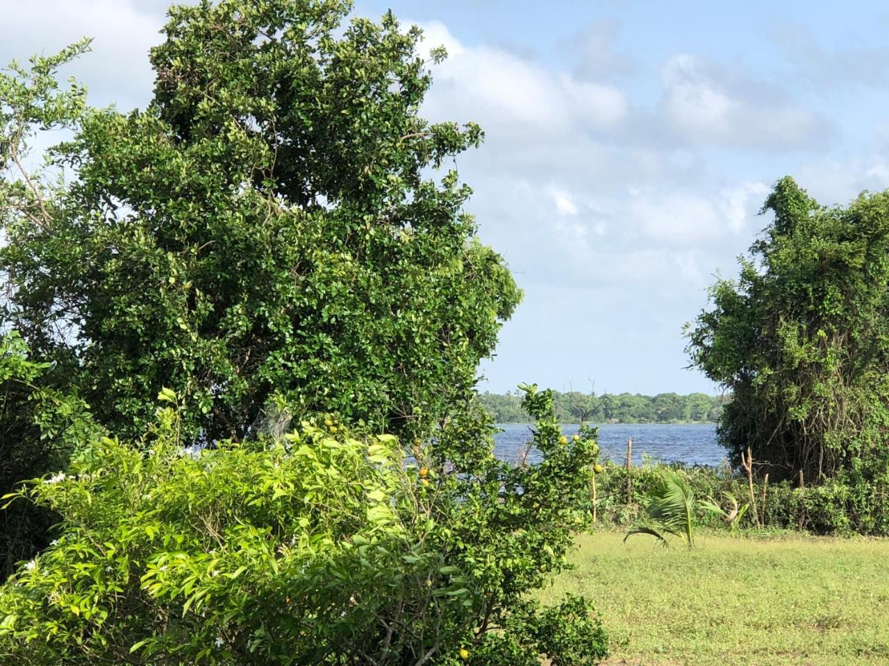Captain'S Bird Safari Lodge بوتالام المظهر الخارجي الصورة