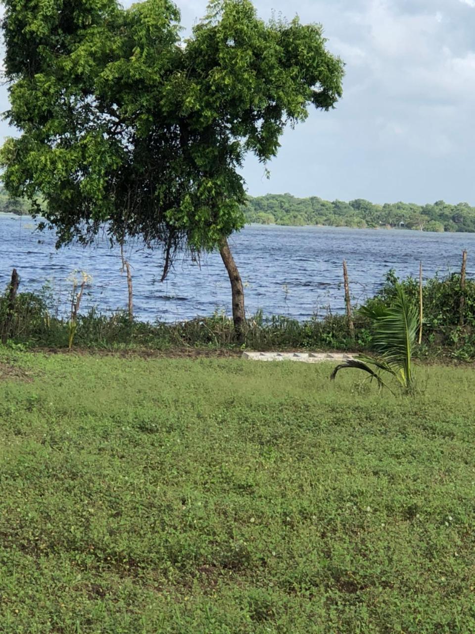 Captain'S Bird Safari Lodge بوتالام المظهر الخارجي الصورة